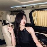 lusi zhao!