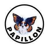 🦋PAPILLON🐶 - MEME TOKEN WITH UTILITY
