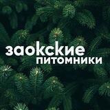 Заокские питомники
