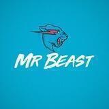 MrBeast fans chat
