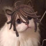 <3