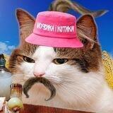 музика і котики