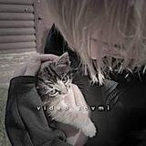 видео совмы 💗