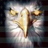 The Patriot Alliance