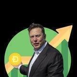 Elonpump Doge