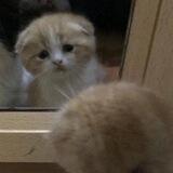 منابع