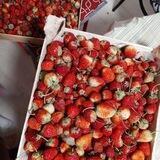 Ягоды-Фрукты Уфа 🍎🍓🍇🍒🍑