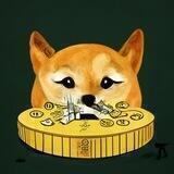DAI Doge Entry
