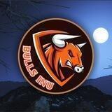 BULLS INU