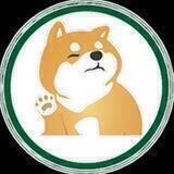 zongzidoge
