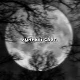 лунный свет.
