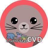 물개 CRYPTO CVD (온체인방)