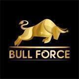 BullForceOfficial