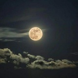 أهــَـــــــات و تنـــــــاهيد ❥ ⃝🇾🇪