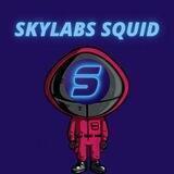 SkylabsSquid - Portal