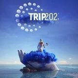 Trip Music Festival