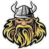 Viking's Crypto Voyage