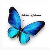 همکاری (صداقت)