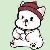 Snow DOGE中文交流群
