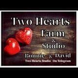 💕Two Hearts Studio💕