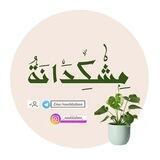 مِـشْكِدَانَةُ 🪴