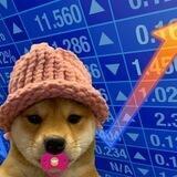 baby dogwifcoin