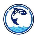 Fish Pond Office | audit&KYC