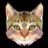 Catking猫王共治社区