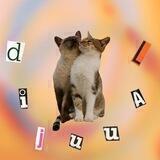 DIJUUAL♡