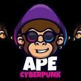ApeCyber Punk portal