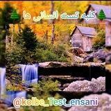 کلبه تست انسانی🏡