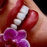Dental_paydar