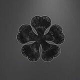 Black Clover ( ブラッククローバー ) Coin