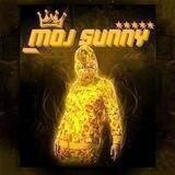 SUNNY ACCOUNT STORE