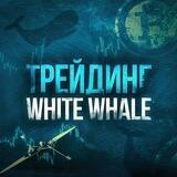 White Whale - AnatolyTrade