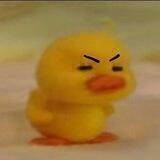 bebek yeonjun.