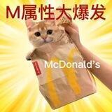🍟薯条Official: 频道
