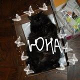 дом юнки👾