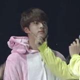 Jinnies!