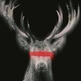 DEERMUSIC