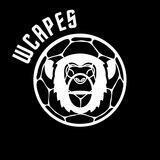 WCAPES Community ⚽️
