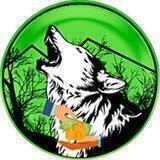Wolf Safe Poor People | Nigeria🇳🇬