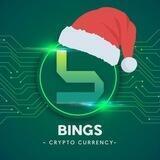 Bingschain Official Community 🚩