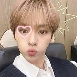 linboo﹗
