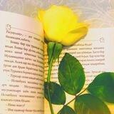 Ilm Istab: Books
