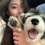 卡商交流