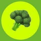 ТВОЯ КУЛИНАРНАЯ КНИГА | COOKBOOK