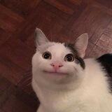 𝐊𝐎𝐌𝐄𝐃𝐈ˣᵃⁿᵃ