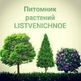 Pitomnik LISTVENICNOE