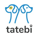 tatebi 🐶